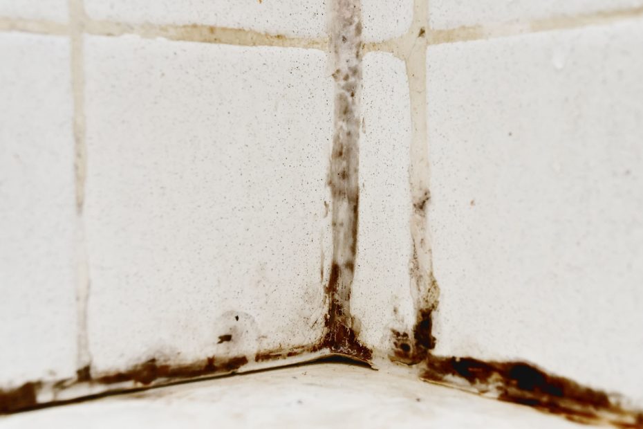 Bathroom Mold and Your Family’s Health